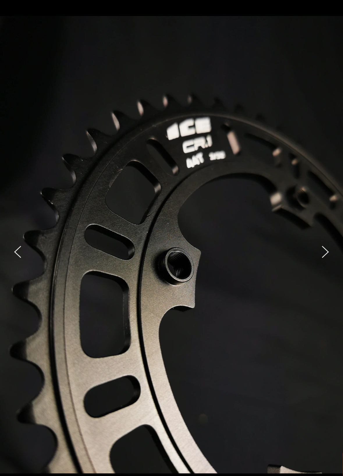Chainring CR.1