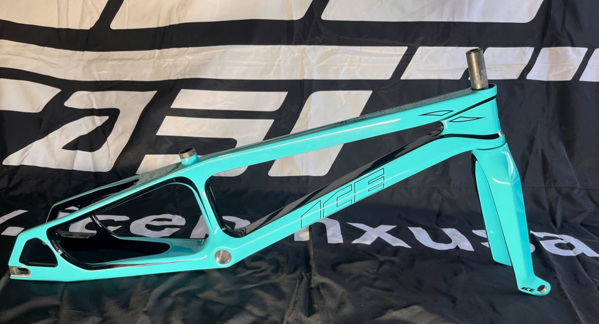 CUSTOM PAINT