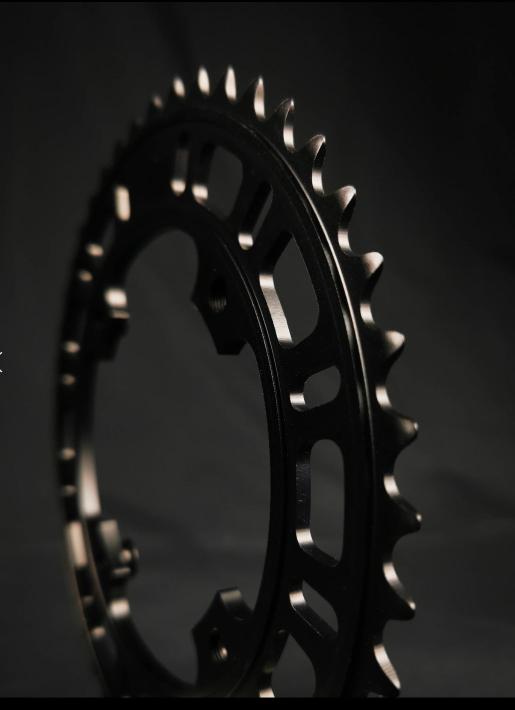 Chainring CR.1