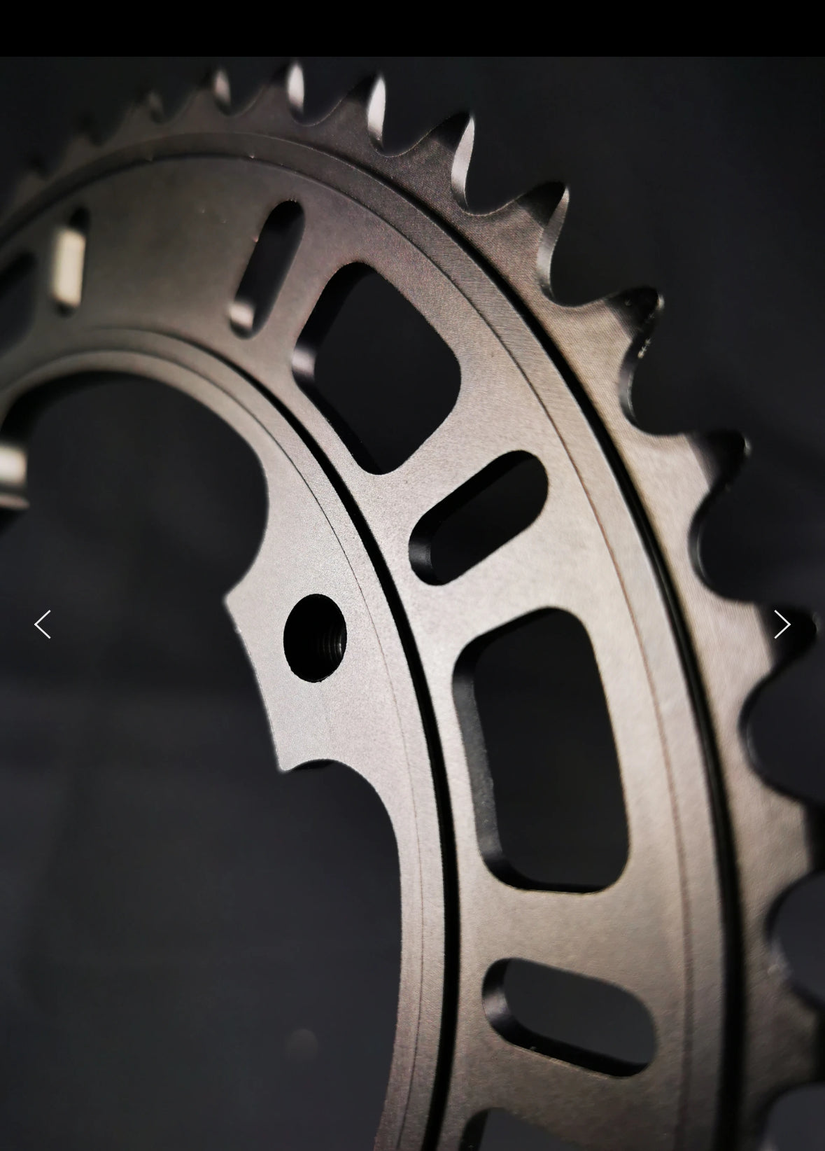 Chainring CR.1